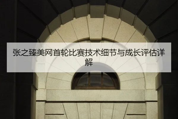 张之臻美网首轮比赛技术细节与成长评估详解