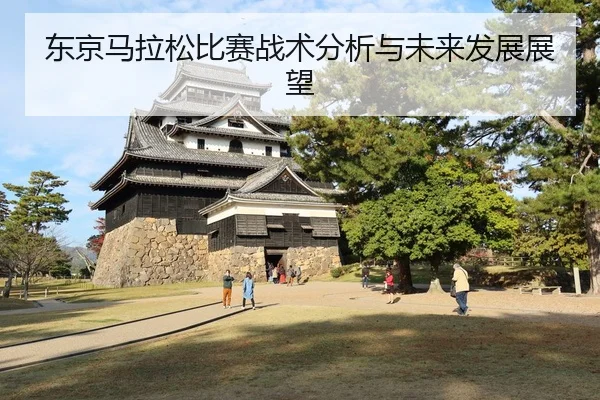 dong-jing-ma-la-song-bi-sai-zhan-shu-fen-xi-yu-wei-lai-fa-zhan-zhan-wang-2-428.jpg